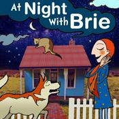 Podcast At Night With Brie: A bedtime podcast for kids and parents