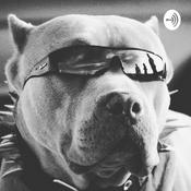 Podcast AXLE STEEL RADIO SHOW