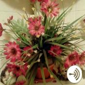 Podcast Беседка Фм