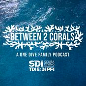 Podcast Between 2 Corals - A One Dive Family Podcast