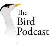 Podcast Bird Podcast with Shoba Narayan