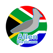 Podcast Birdsounds - Allenbirdcam