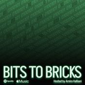 Podcast Bits to Bricks with Amira Valliani