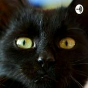 Podcast Black Cat