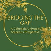 Podcast Bridging The Gap