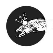 Podcast Catching Alphas