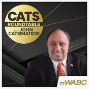 Podcast Cats Roundtable