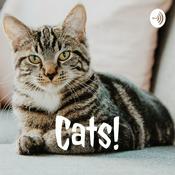 Podcast Cats!