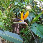 Podcast Ciências E Biologia