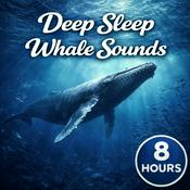 Podcast Deep Sleep Whale Sounds