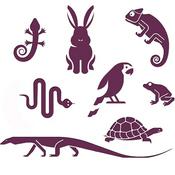 Podcast Exotic Pets™