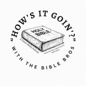 Podcast "How's it Goin'?" with the Bible Bros