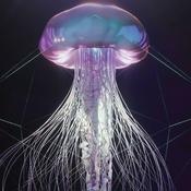 Podcast Luminescence