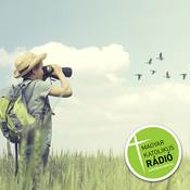 Podcast Madárvárta