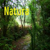 Podcast Natura