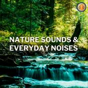 Podcast Nature Sounds & Everyday Noises Podcast