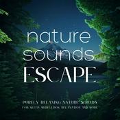 Podcast Nature Sounds Escape | Purely Relaxing Nature Sounds For Sleep, Relaxation, Meditation, Mindfulness, Study & Focus | Ambient Sounds Of Nature | Rain Sounds, Ocean Waves, Waterfall, River Sounds, Singing Birds, Beach, 8D Sounds, ASMR, White Noise & More