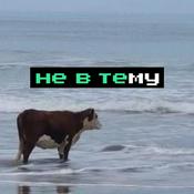 Podcast 🚫 НЕ В ТЕМУ