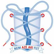 Podcast NEM AZÉ, AKI FUT
