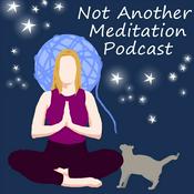 Podcast Not Another Meditation Podcast