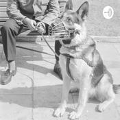 Podcast Notatnik Dzielnicowego