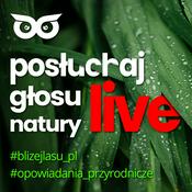 Podcast Posłuchaj głosu natury live z BlizejLasu.pl