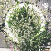 Podcast Potions and Palettes