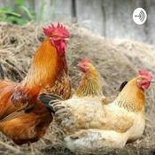 Podcast Producción de alimentos: criadero de animales