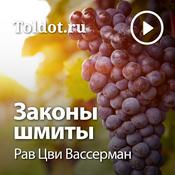 Podcast Рав Цви Вассерман  — Законы Шмиты