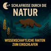 Podcast Einschlafen mit Natur
