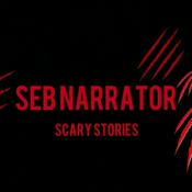 Podcast Seb Narrator