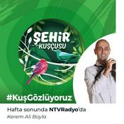 Podcast Şehir Kuşçusu