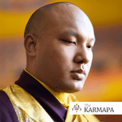 Podcast Selected Talks on Buddhism and Meditation by the Karmapa