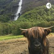 Podcast Сказки для моей самой прекрасной девушки в мире