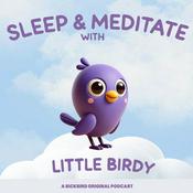 Podcast Sleep & Meditate with Little Birdy