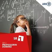 Podcast Professorin Domino