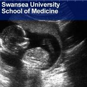 Podcast Swansea University Medical School: Anatomy and Embryology