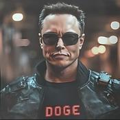 Podcast The DOGE Report
