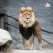 Podcast the lion king