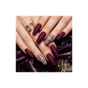 Podcast The Nail Exam Lounge: Path to Licensed Nail Technician