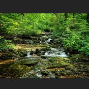 Podcast The Stuff Between My Ears