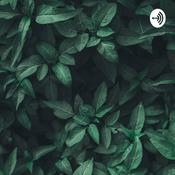 Podcast Thetypicalcollegegal
