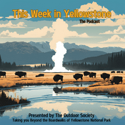 Podcast This Week in Yellowstone National Park
