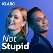 Not Stupid