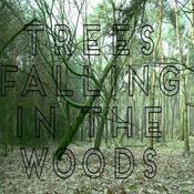 Podcast Trees Falling in The Woods