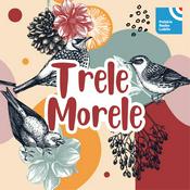 Podcast Trele morele w Radiu Lublin