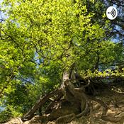 Podcast Veritas Academy