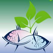 Podcast Vida Vertical