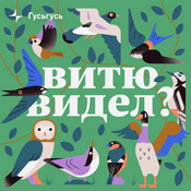 Podcast Витю видел?