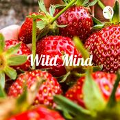 Podcast Wild Mind - Leben in Balance